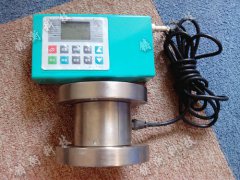 帶自動關機功能的數字扭力測試儀100N.m 帶自動關機功能的數字扭力測試儀100N.m